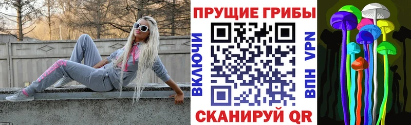 Купить закладки Новоульяновск Галлюциногенные грибы Psilocybine cubensis